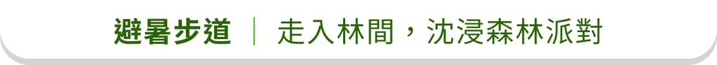 避暑步道｜走入林間，沈浸森林派對