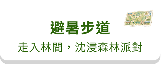 避暑步道｜走入林間，沈浸森林派對