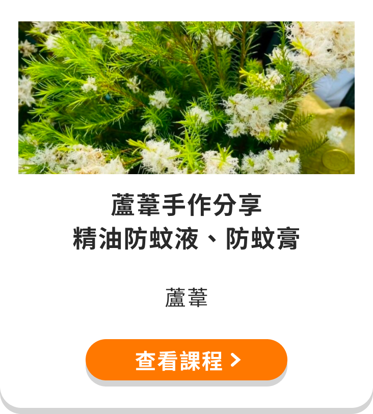 蘆葦手作分享