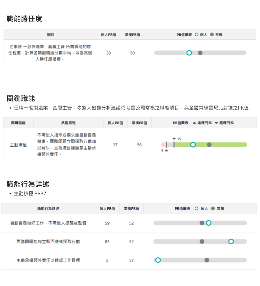職能情境測驗報告範例